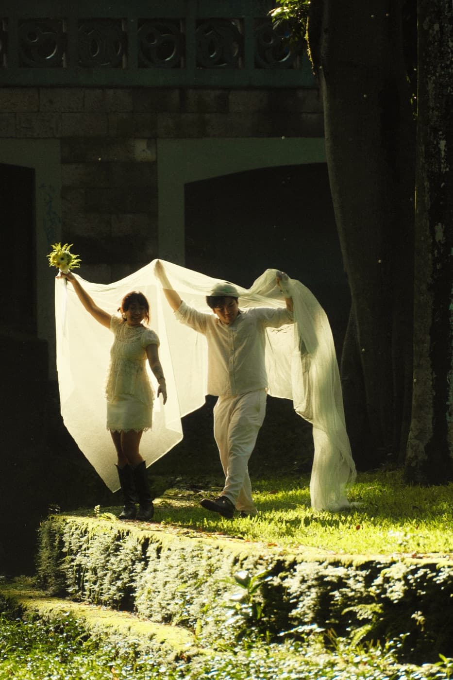 Lifting the veil in the garden